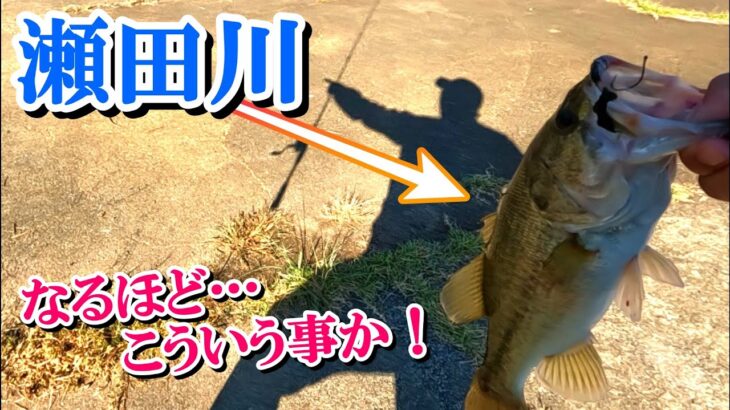 週末のバス釣りは持ちつ持たれつ