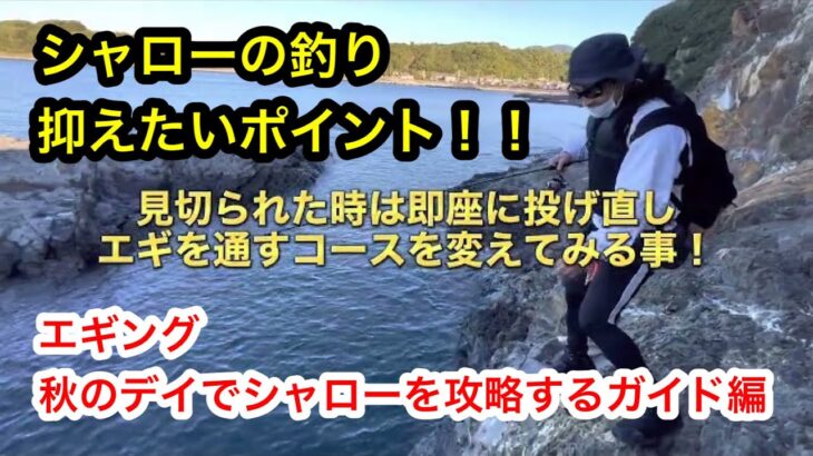 シャロー(浅い所)のエギングとシャロー撃ちは違う釣り