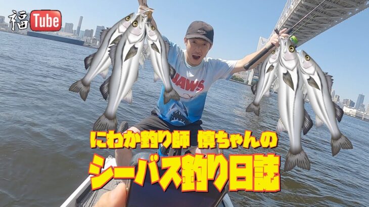 にわか釣り師 慎ちゃんのシーバス釣り日誌❗️