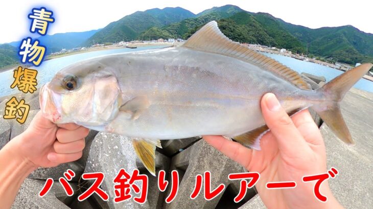 【衝撃】バス釣りルアーで海釣りしたら爆釣した　絶景水中映像あり