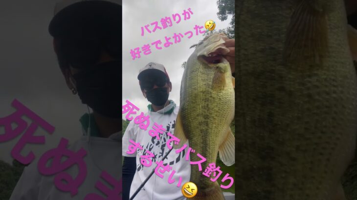 死ぬまでバス釣りするぜい😆#バス釣り#ブラックバス#釣り好きな人と繋がりたい