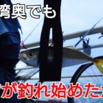 去年はアジが渋かった東京湾奥でも秋に入ってアジが釣れるようになったか!