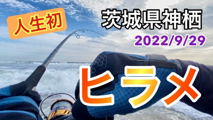 【茨城県神栖サーフ】ルアーの使い分けを実践してみたらついにヒラメが釣れちゃいました