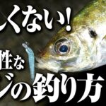 【アジング】難しくない！低活性なアジの釣り方