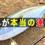 昔からジグで青物を爆釣させてくれる釣り方がこれ【鬼の連発】サーフでライトショアジギング