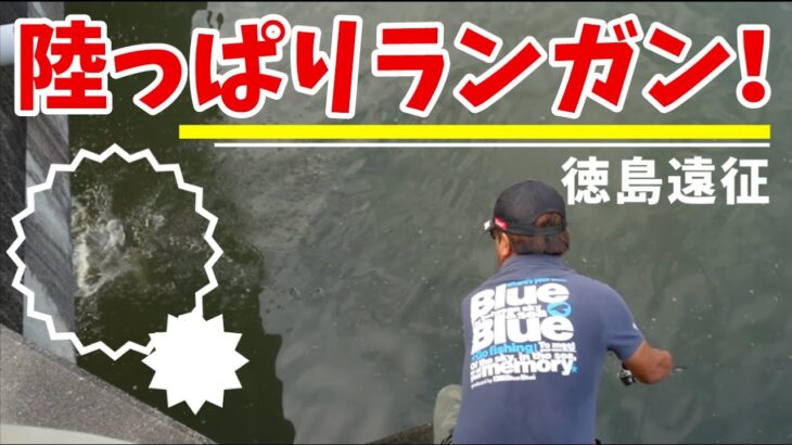 【シーバス】徳島陸っぱりに挑戦【遠征】