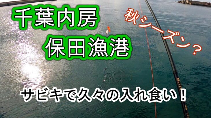 【千葉内房】保田漁港で久しぶりの入れ食いサビキ釣り！【海釣り】