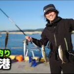 【北茨城】大津港でサビキ釣り調査