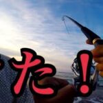 久しぶりに遠州灘サーフでルアー釣りしたら…