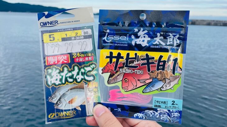 ワームなのにサビキって？新作「サビキ的」を使った釣りが面白い！