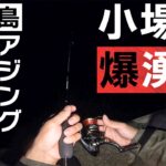 【淡路島】秋の漁港でアジ大漁!ジグ単ただ巻きで入れ食い状態に【アジング】