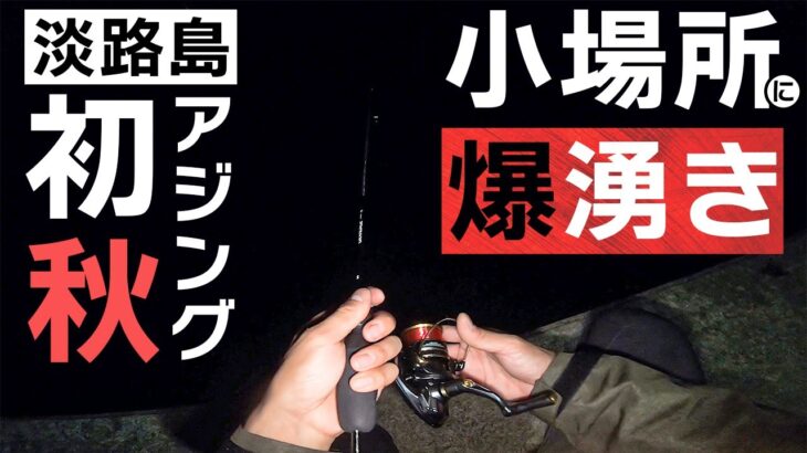 【淡路島】秋の漁港でアジ大漁!ジグ単ただ巻きで入れ食い状態に【アジング】