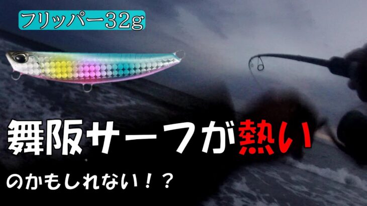 遠州灘サーフ　ヒラメを釣る事はできるのか！！？フリッパーで勝負をかける。