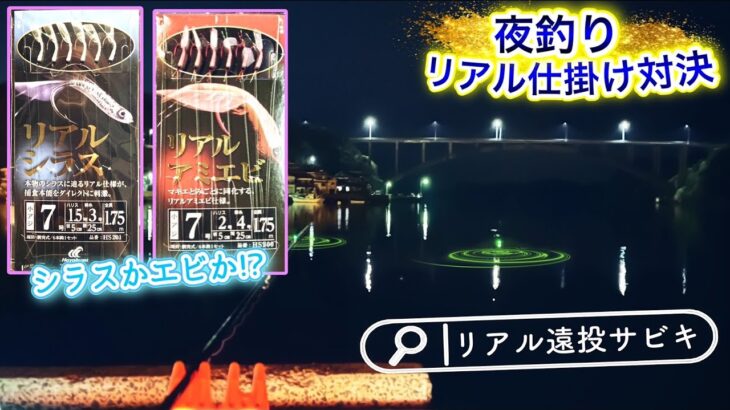 深夜の◆シラスvsアミエビ◆そっくり仕掛けと水中集魚ライトで挑む夫婦遠投げサビキ釣行。ソフトな剥き身で意外な収穫。