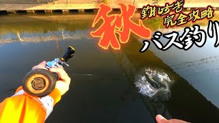 【衝撃】釣れすぎ注意⁉︎秋ってこんな釣れたっけ？www【バス釣り】