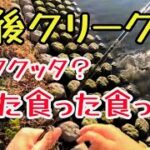 【筑後クリーク】○○を釣るなら…このワーム‼　バス釣り1年生トニー  筑後クリーク釣行part2   福岡県 筑後市 筑後川