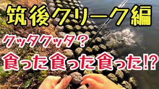 【筑後クリーク】○○を釣るなら…このワーム‼　バス釣り1年生トニー  筑後クリーク釣行part2   福岡県 筑後市 筑後川