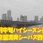 10月中旬ハイシーズン直前！東京超湾奥シーバス釣り❗️