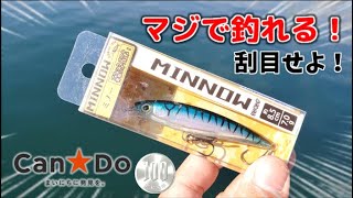 キャン★ドゥの100円ミノーがマジで釣れまくりの最強ルアー！これは絶対勝っておけ！