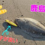 【鹿島灘サーフ】11月のサーフヒラメ🎣このカラーが調子が良い！