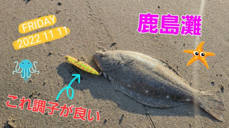 【鹿島灘サーフ】11月のサーフヒラメ🎣このカラーが調子が良い！