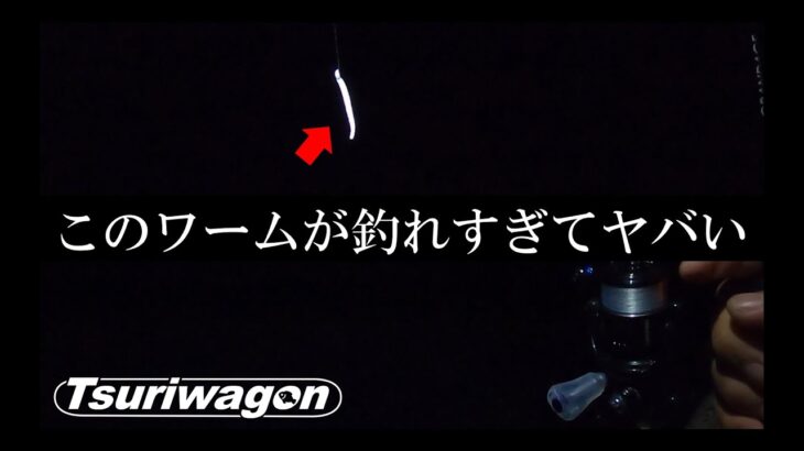 このワームで秋のアジングがイージーになっちゃいます【11月下旬　アジング】