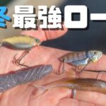 【11月・12月バス釣り】初冬に釣れない・絶対にバスが釣りたい人は、この釣り方を真似して下さい。簡単に釣ることができるようになります。【ジャッカル】【deps】【ディスタイル】【がまかつ】