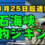 【11月25日超速報！明石海峡ジギングタチパターン攻略法！】このジグとこのしゃくり方で大爆釣