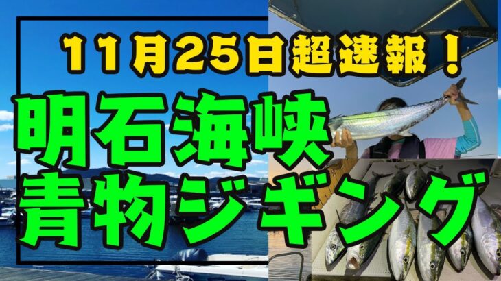 【11月25日超速報！明石海峡ジギングタチパターン攻略法！】このジグとこのしゃくり方で大爆釣