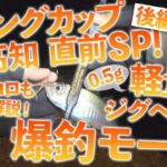 【家邊目線#20】アジングカップ in 高知 直前SP(後編)　軽量ジグヘッドで爆釣モード！【34のアジング実釣動画】