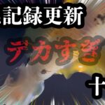 エギング【釣れたイカがデカすぎました】2022 11月 エギング