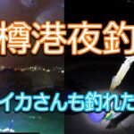 【釣り】北海道石狩湾・小樽港夜釣り　暴風雨とヤリイカさんの釣り（投げ釣り・エギング・ハゼ・マメイカ・サバ・ヤリイカ・ソイ）2022.11.26-27