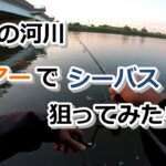 秋の河川　ルアーでシーバス狙ってみたら…【2022年10月23日】