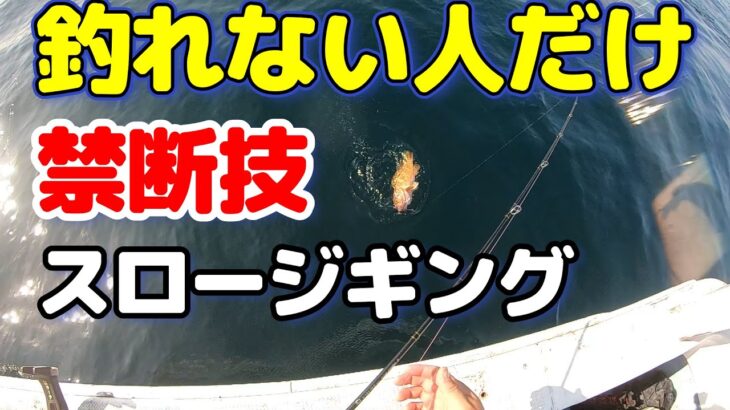 禁断技伝授！根魚スロージギング　釣れない時だけ使ってください。　2022年10月28日釣行　100種釣りチャレンジ中！63/100