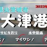 2022年10月下旬【茨城県北茨城市大津港】でサビキ釣りしてみたら…♯51