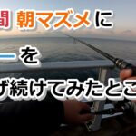 ３日間朝マズメに堤防からルアー投げ続けてみたところ…【2022年11月16日～18日】