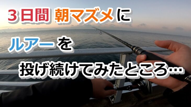 ３日間朝マズメに堤防からルアー投げ続けてみたところ…【2022年11月16日～18日】