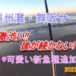 遠州灘・舞阪サーフ釣行記 短時間勝負でヒラメ(ソゲ)と可愛い新魚種追加 2022/11/18