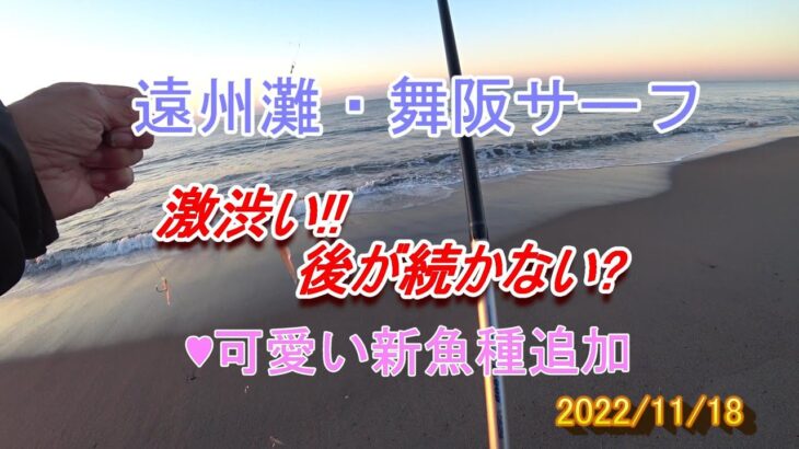 遠州灘・舞阪サーフ釣行記 短時間勝負でヒラメ(ソゲ)と可愛い新魚種追加 2022/11/18