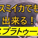 スミイカでスプラトゥーン【コウイカ釣り】エギング・2022/11/26相模湾佐島沖水深２３ｍ