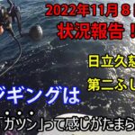 青物ジギングは，この「ガツン」って感じがたまらん！　2022年11月8日の現状報告！