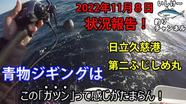 青物ジギングは，この「ガツン」って感じがたまらん！　2022年11月8日の現状報告！