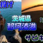 茨城県　那珂湊港　ちょい投げの日　サビキ釣りの日　2日分　11月中旬　2022