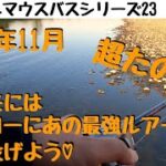 【川スモールマウスバス釣り　シリーズ23　群馬編】１１月晩秋の寒スモールはシャローにあの最強ルアーをぶち込もう!!