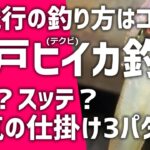 【ヒイカ】八戸テクビイカ釣り スッテ？エギ？最近人気のイカ釣り仕掛け3パターンを紹介！@青森八戸