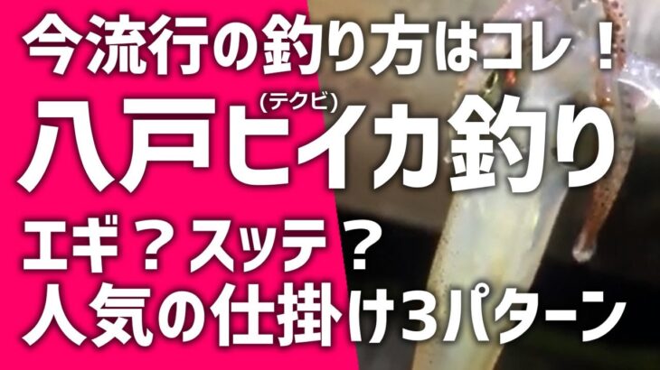 【ヒイカ】八戸テクビイカ釣り スッテ？エギ？最近人気のイカ釣り仕掛け3パターンを紹介！@青森八戸