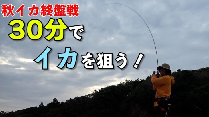 秋～冬エギングに釣れる時間は！30数分短時間エギング勝負