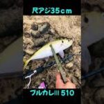 【アジング】尺アジ35cmの引きがヤバい!!#shorts #アジング #fishing