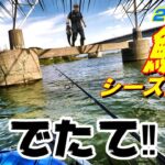 新潟シーバス釣り☆【ゴムボート】で秋の荒食い突入間近の清流大河の橋脚・中州・鉄塔・テトラ初出航!フィールドに360度死角なし!