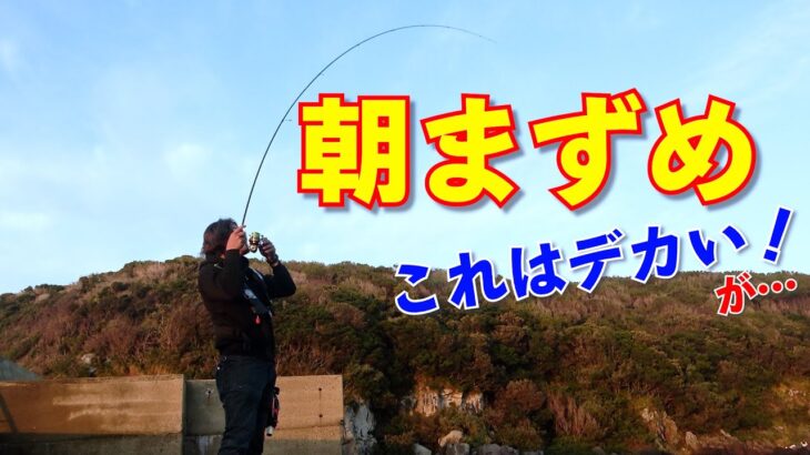 晩秋エギング朝まずめ45分勝負！まさかのキロアップが！